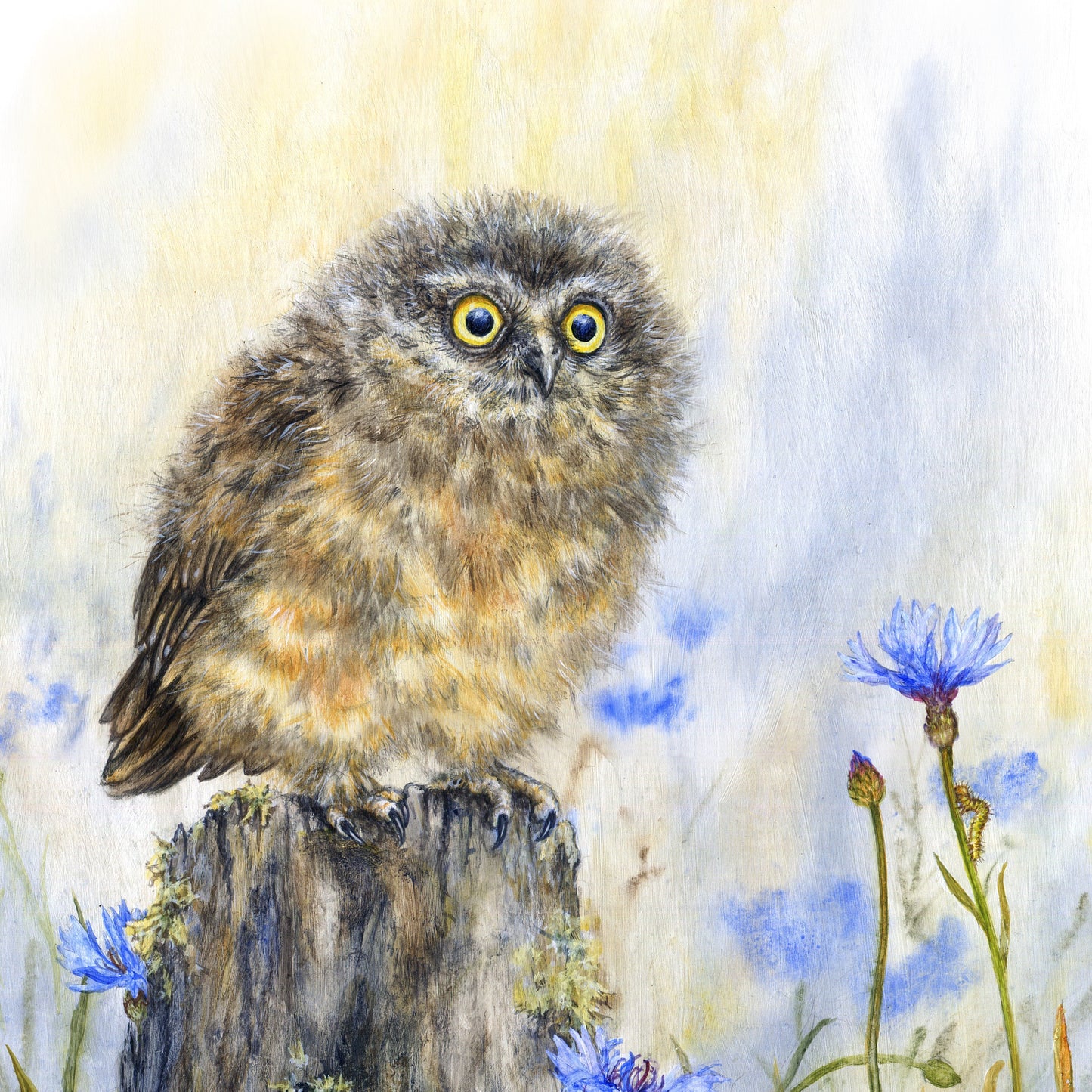 Ruru Fledgling - Original Wall Art - NZ Birds