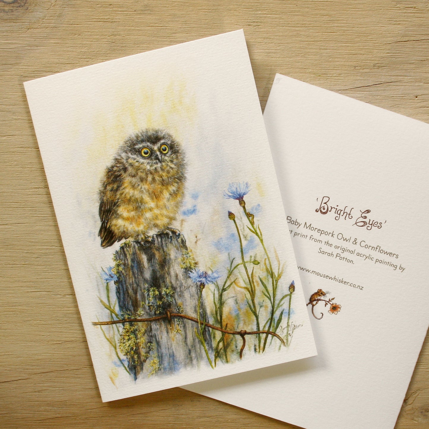Card / Mini Print - Baby NZ Morepork Owl