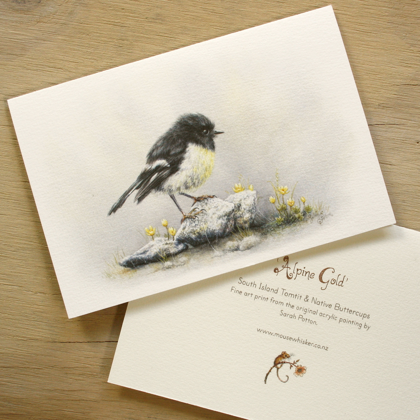 Card / Mini Print - NZ Tomtit