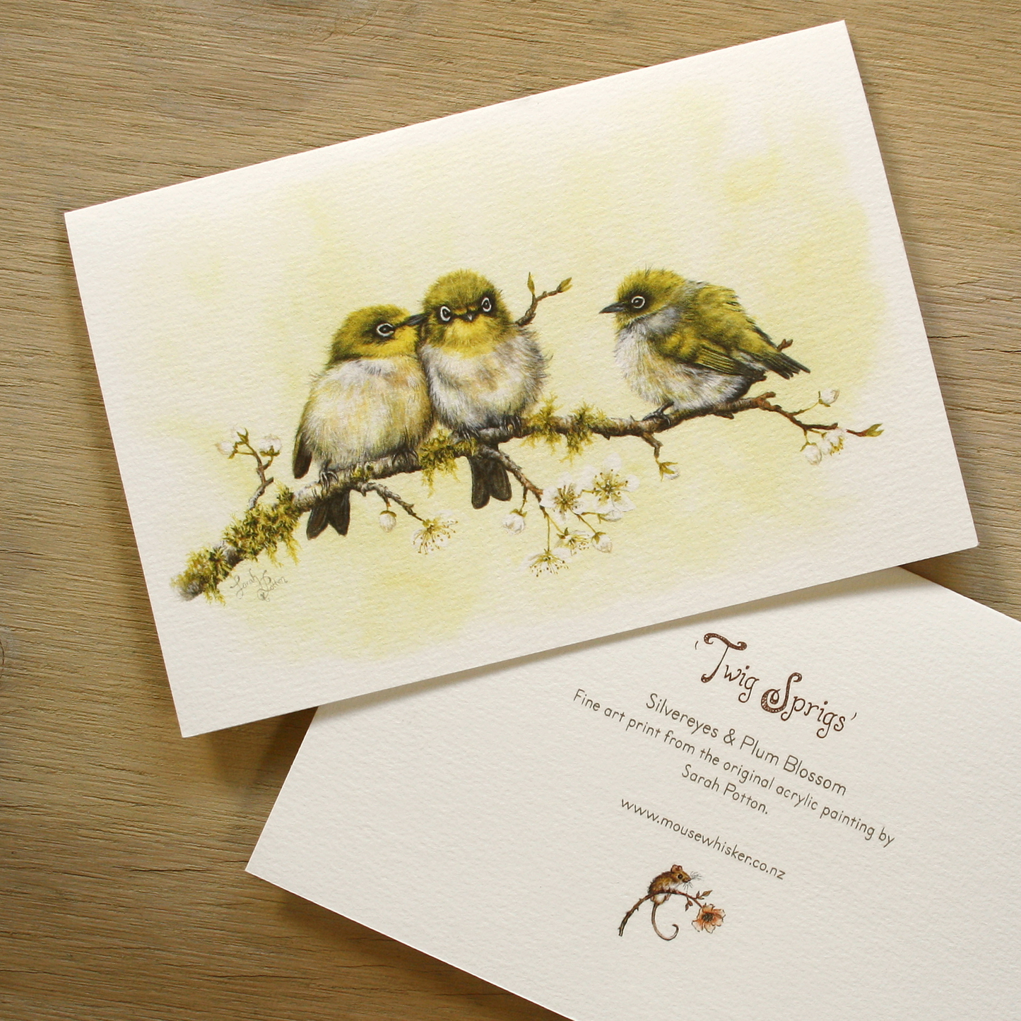 Card / Mini Print - Baby Waxeye Birds