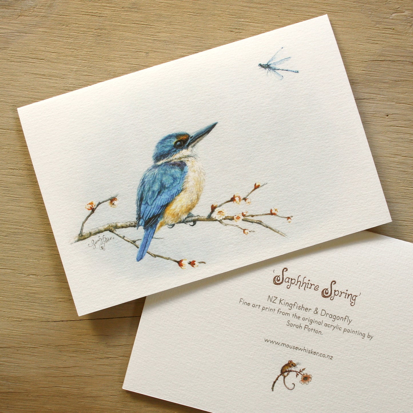 Card / Mini Print - Kingfisher & Dragonfly