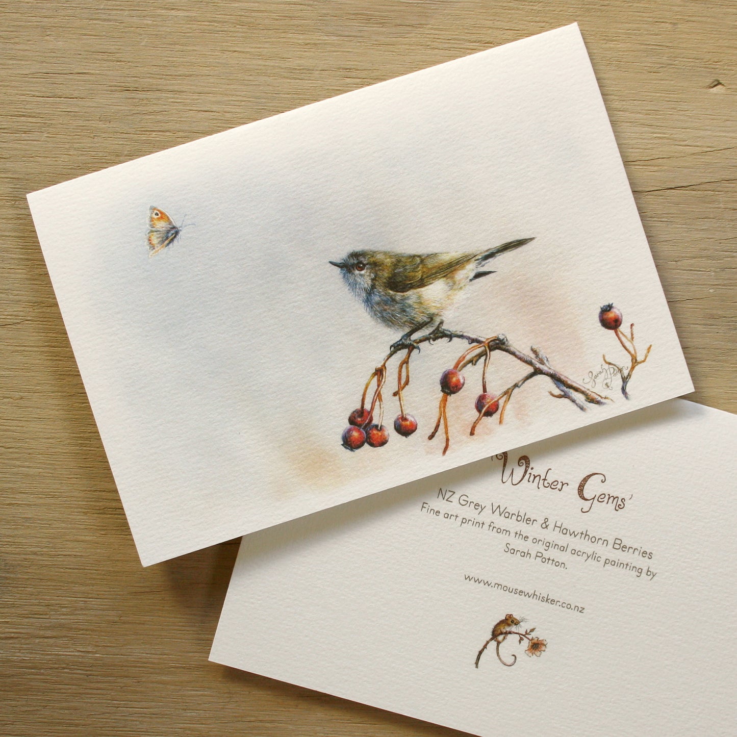 Card / Mini Print - NZ Grey Warbler
