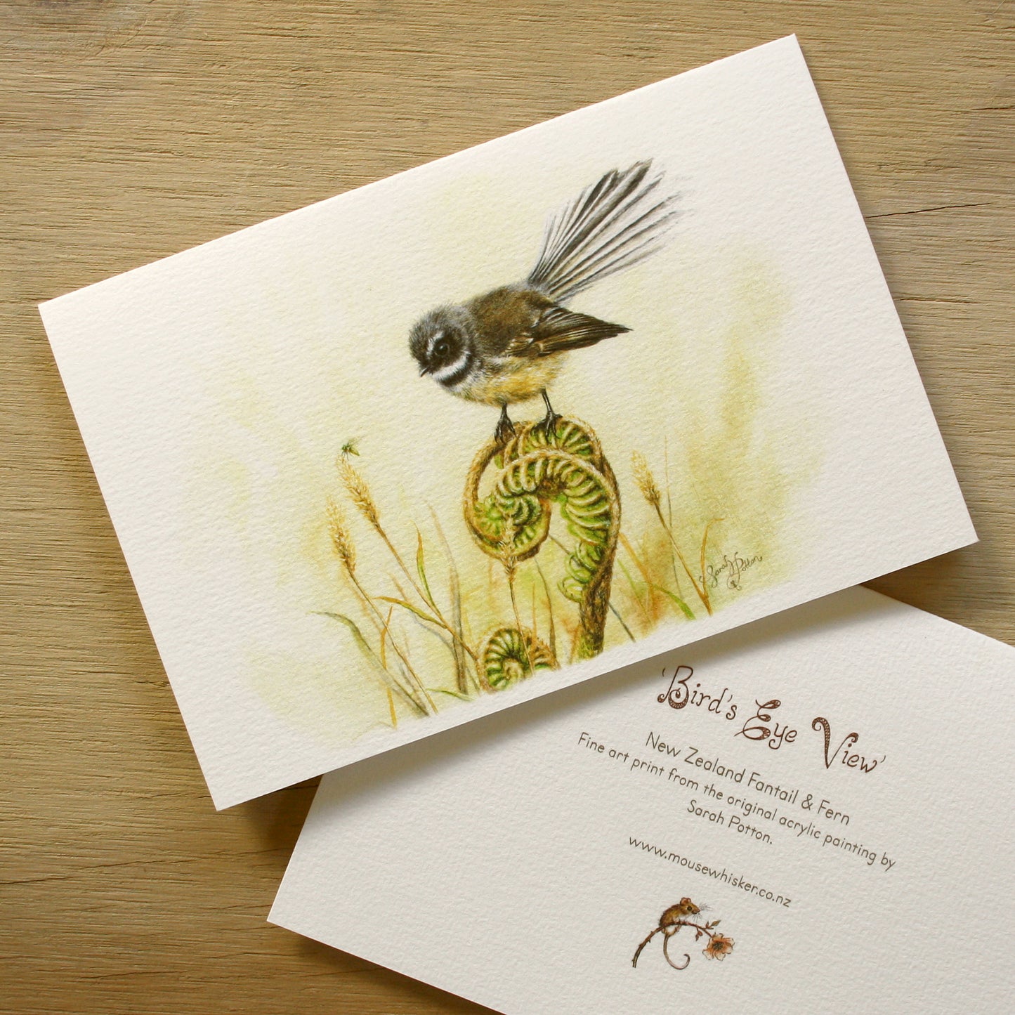 Card / Mini Print - NZ Fantail & Fern