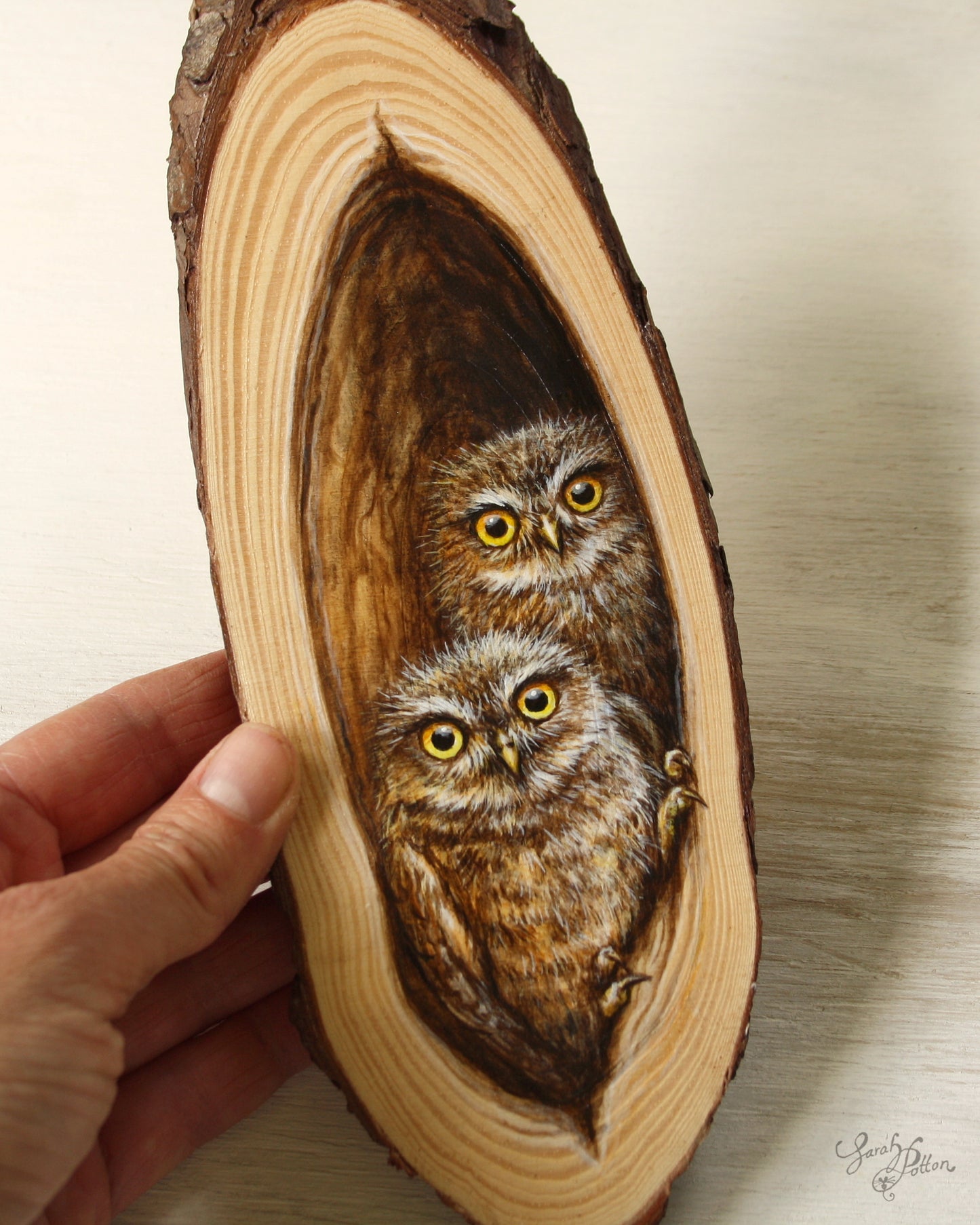 New Zealand Owl Art on Wood Slice - Unique Gift Idea
