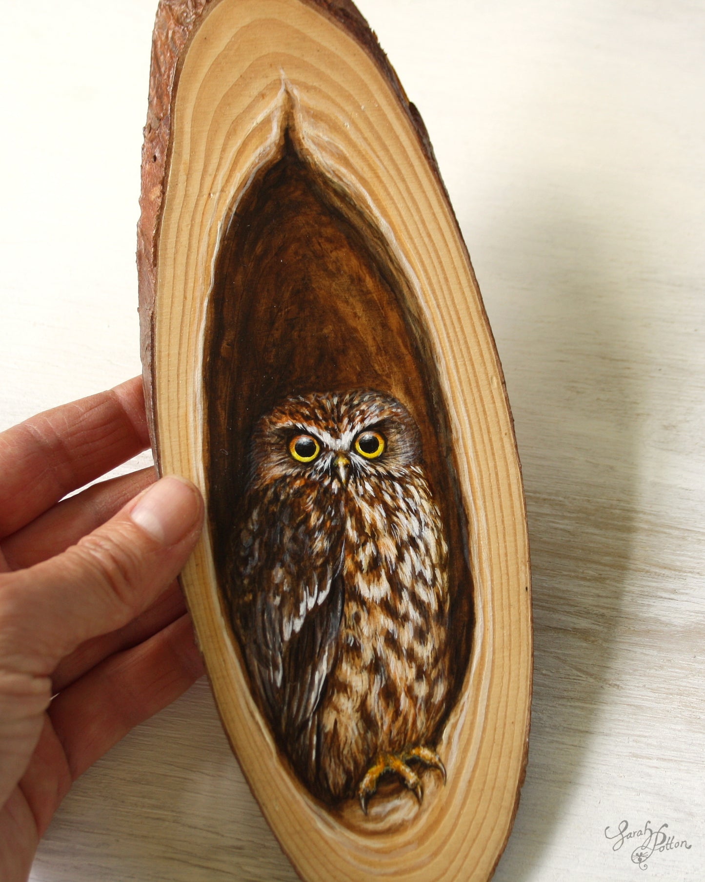 Wood Painting - Owl Art by NZ Artist