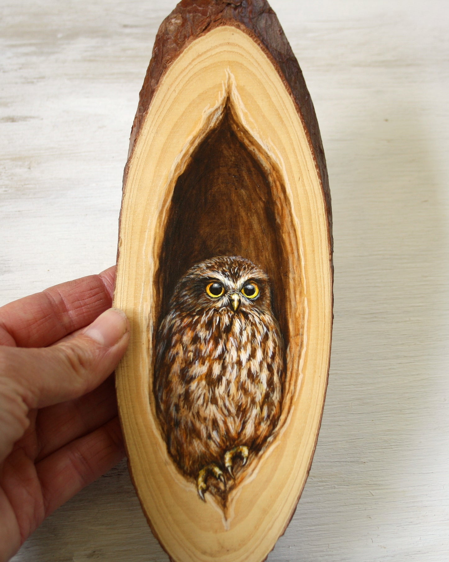 NZ Morepork Painting on Wood - Native Bird Illustration