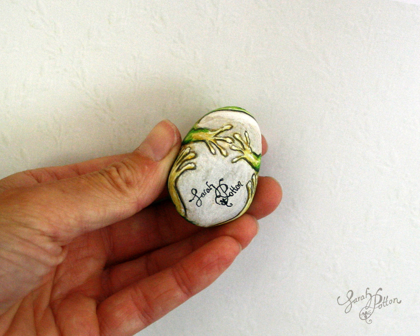 Painted Stone - NZ Frog