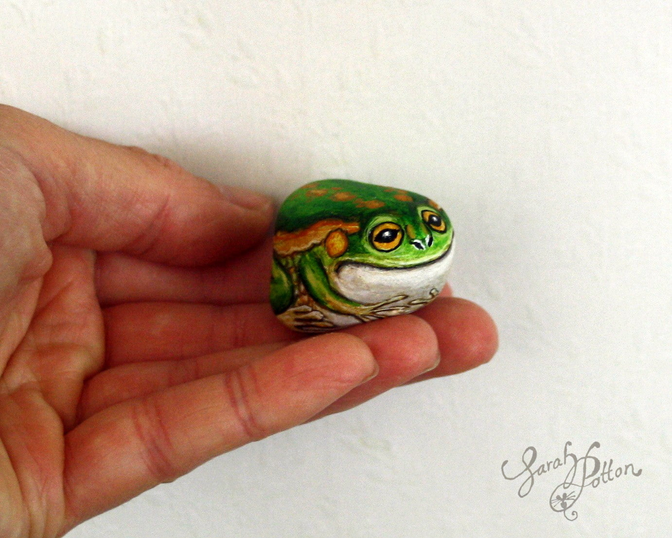 Painted Stone - NZ Frog