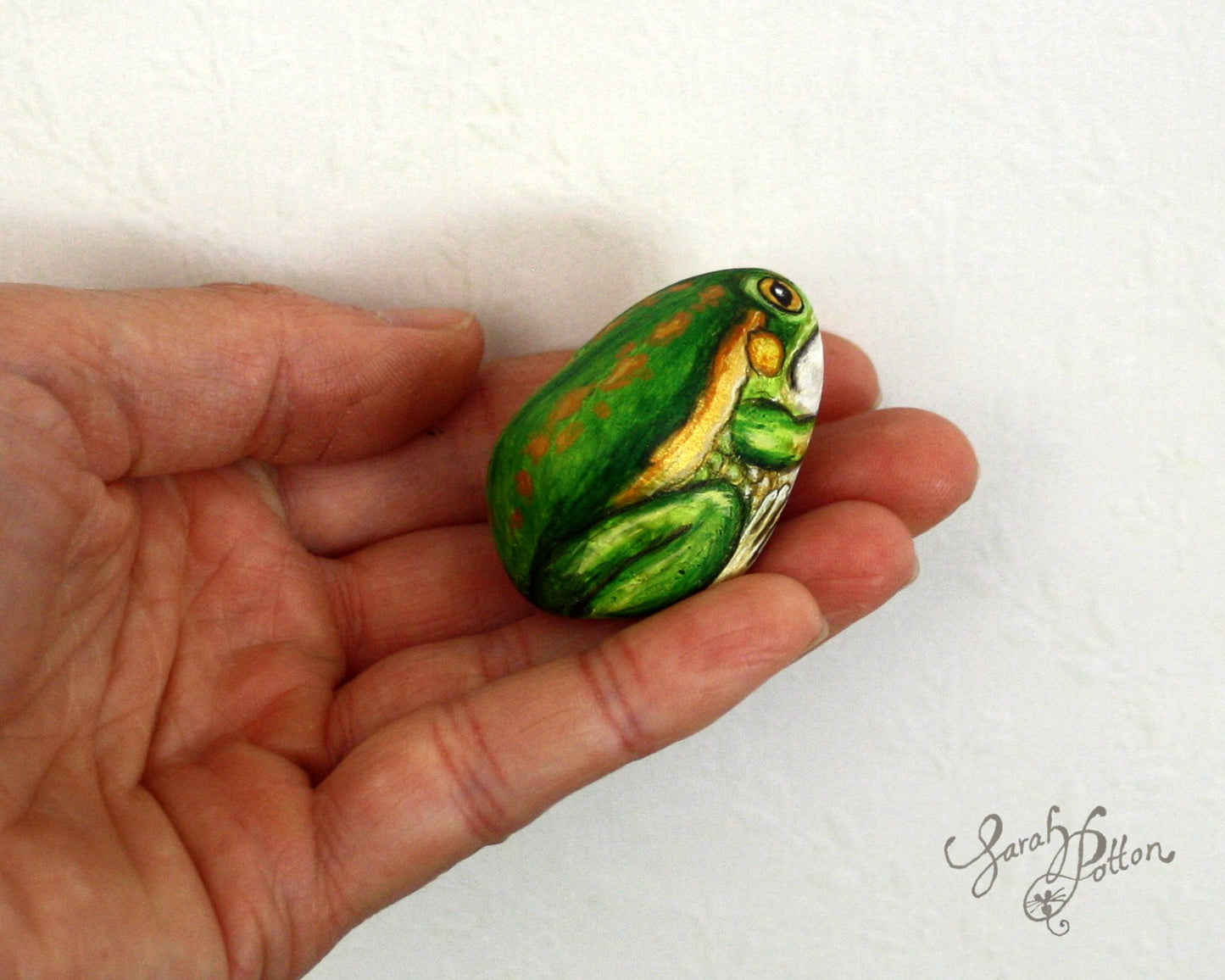 Painted Stone - NZ Frog