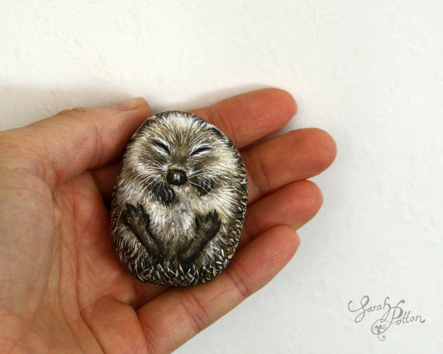 Painted Stone - Sleeping Hedgehog