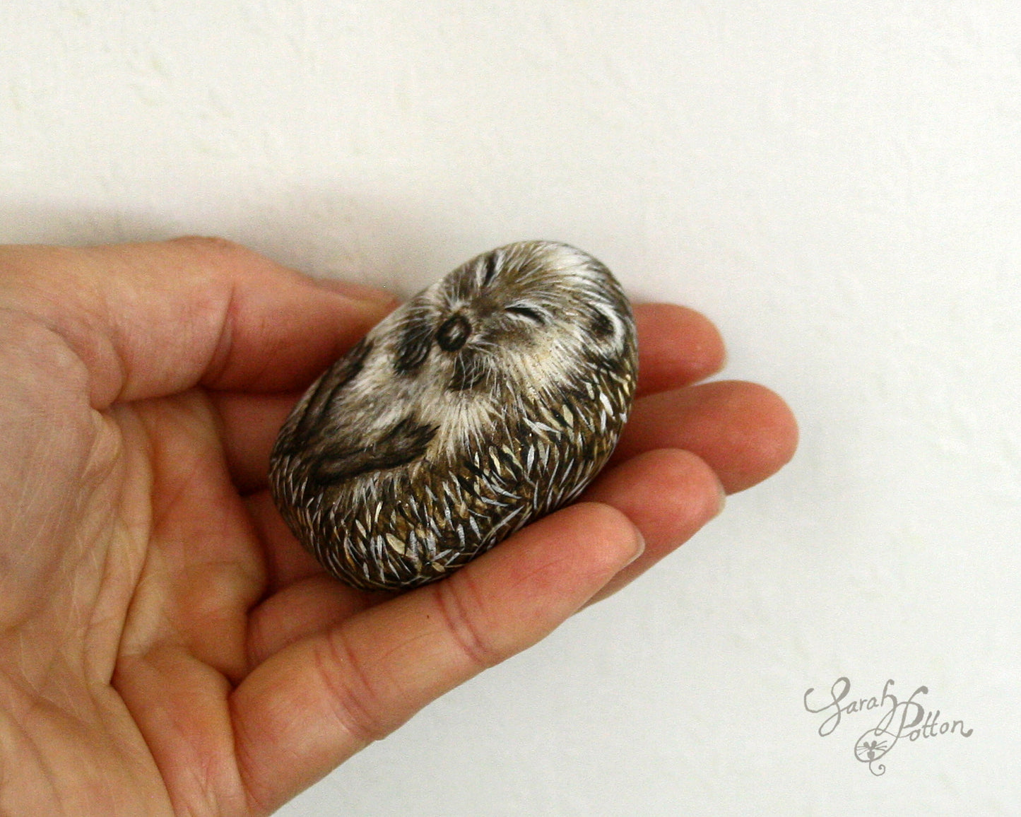 Painted Stone - Sleeping Hedgehog