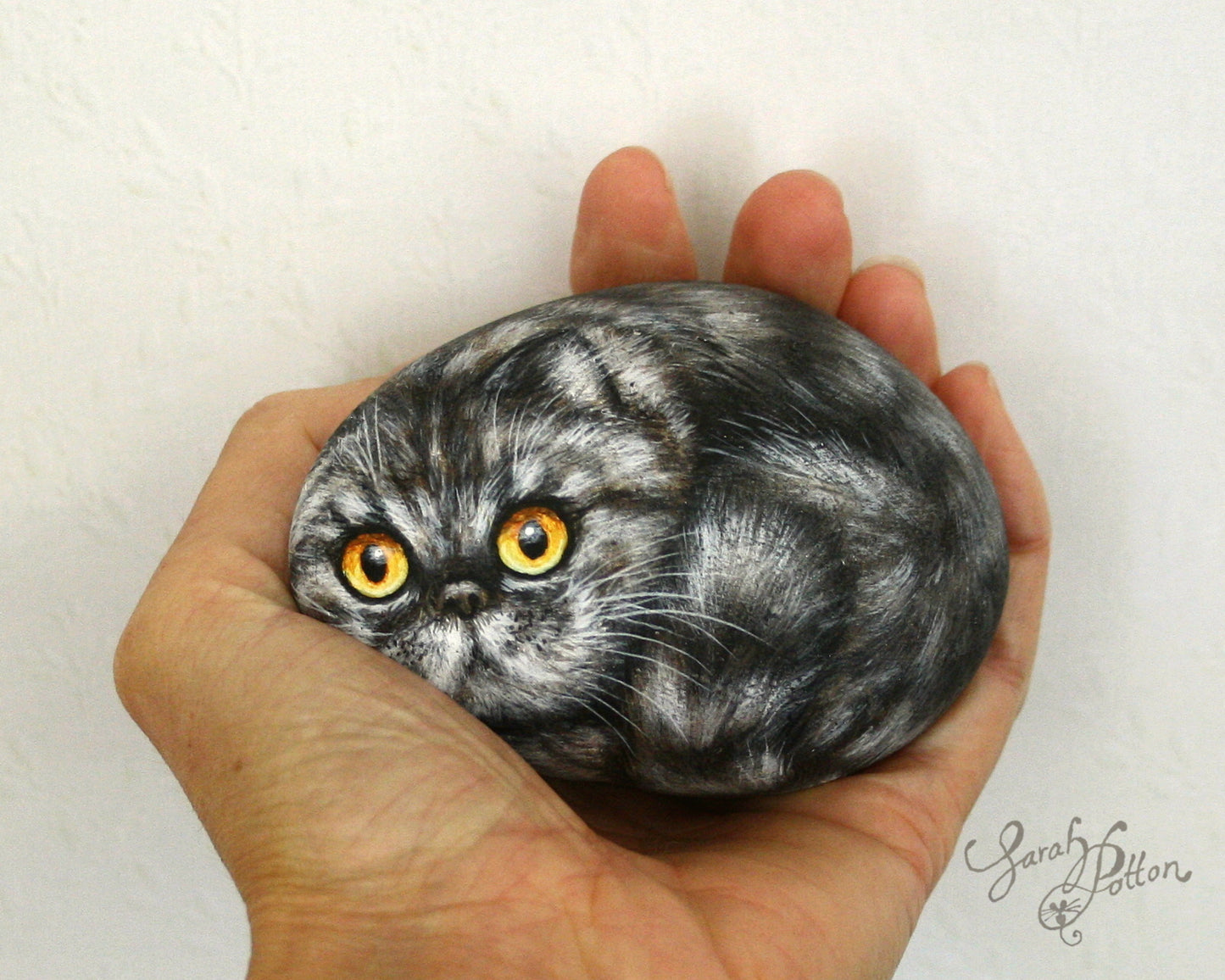 Fluffy Grey Persian Cat Painted Rock