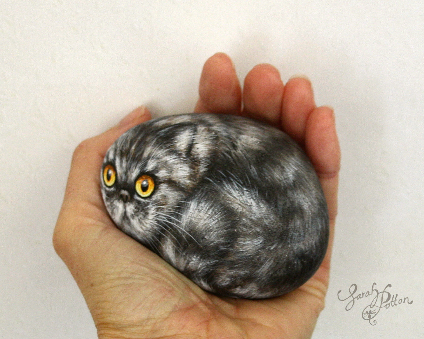 Fluffy Grey Persian Cat Painted Rock