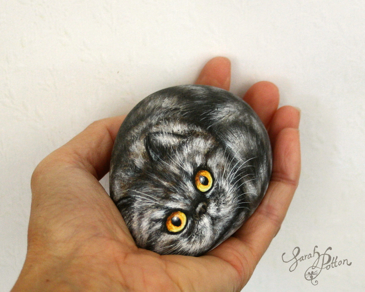 Fluffy Grey Persian Cat Painted Rock