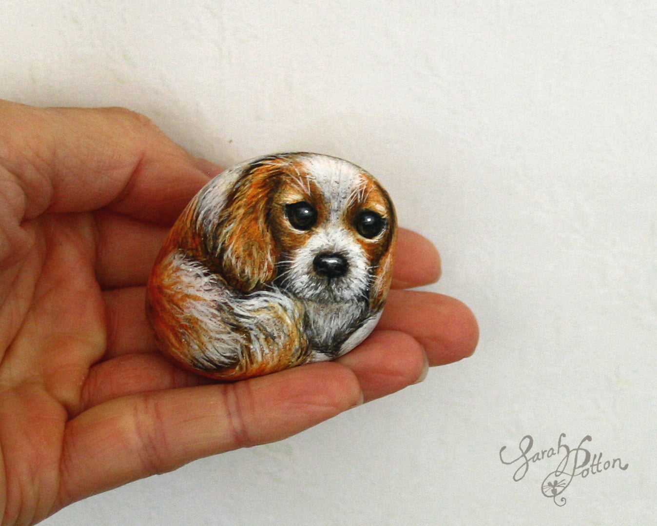 Painted Stones - Cavalier King Charles Spaniel Dogs