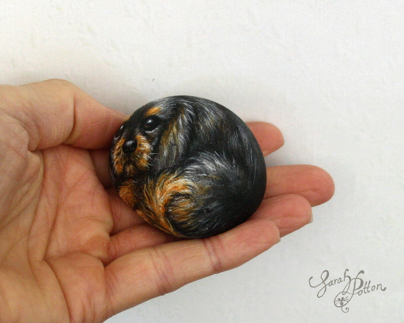 Painted Stones - Cavalier King Charles Spaniel Dogs