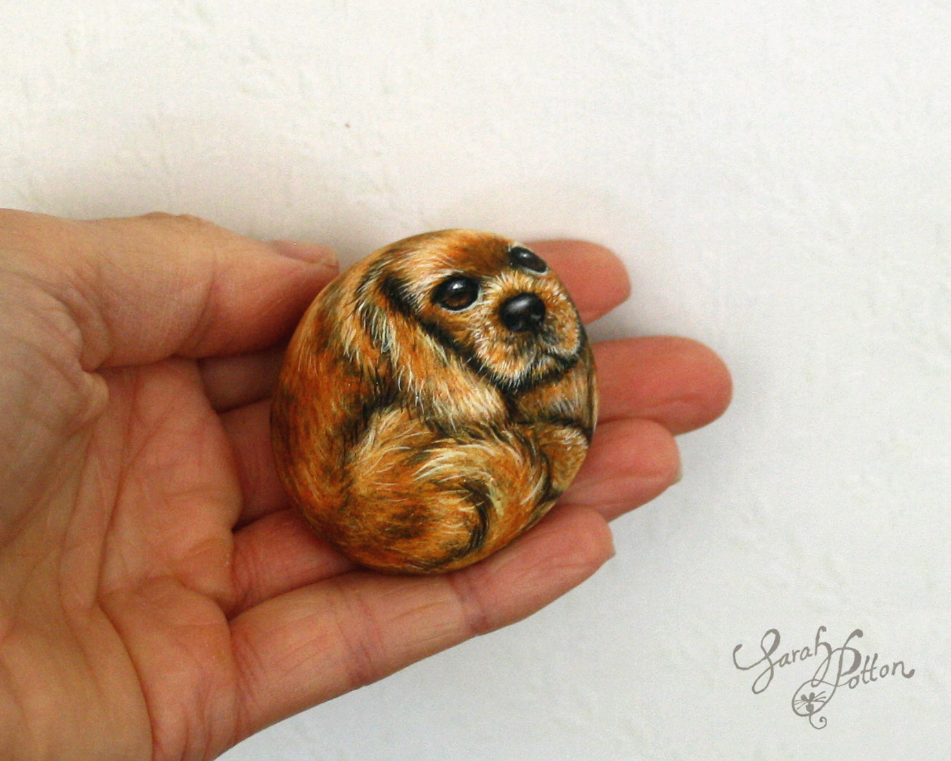 Painted Stones - Cavalier King Charles Spaniel Dogs