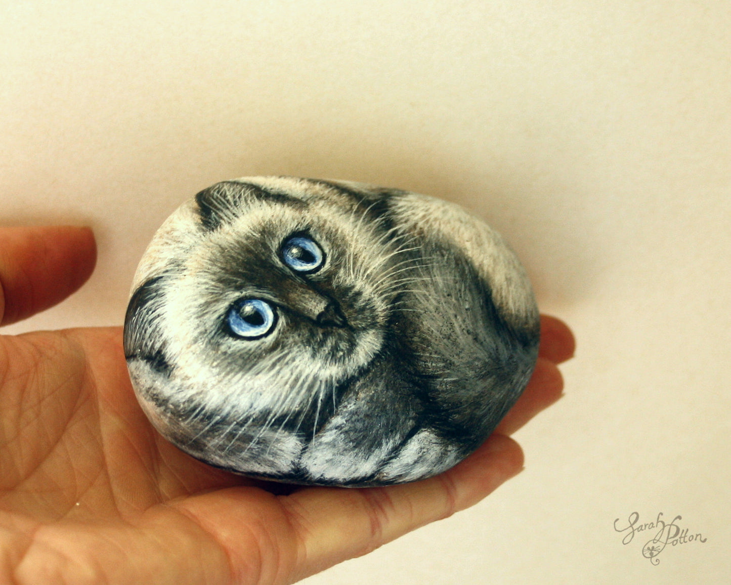 Fluffy Ragdoll Cat Painted Rock