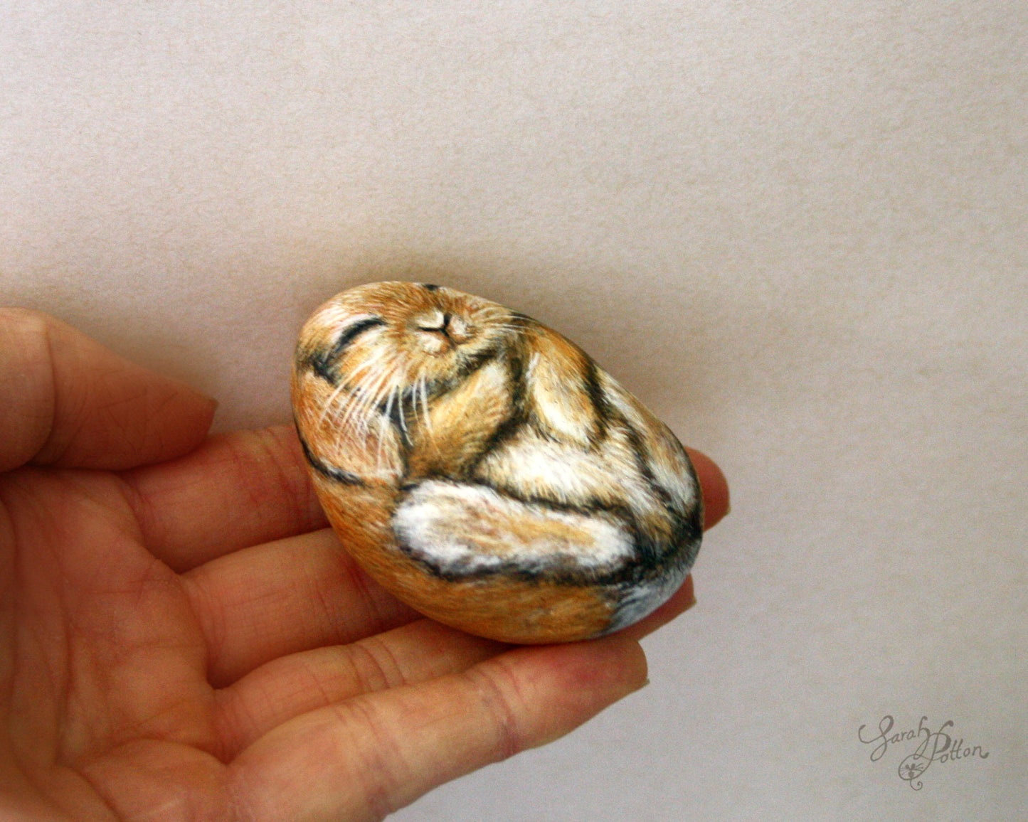 Sleeping Bunny Stone Art - Fawn Lop Rabbit