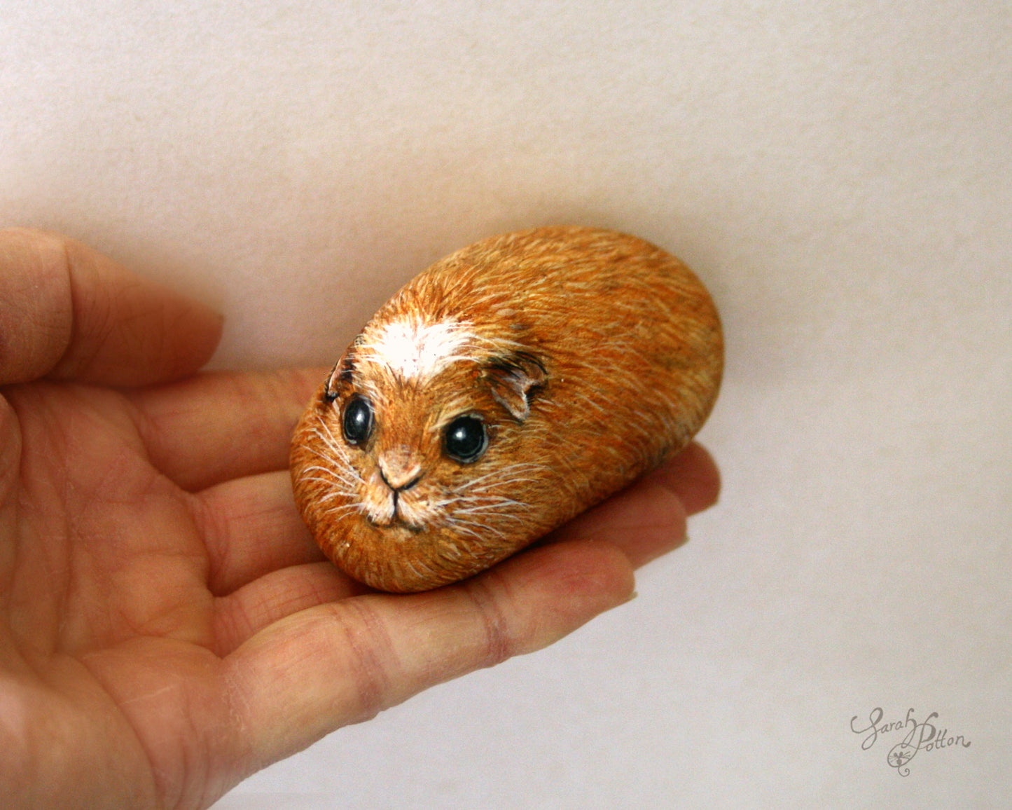 Ginger Guinea Pig Painted Rock