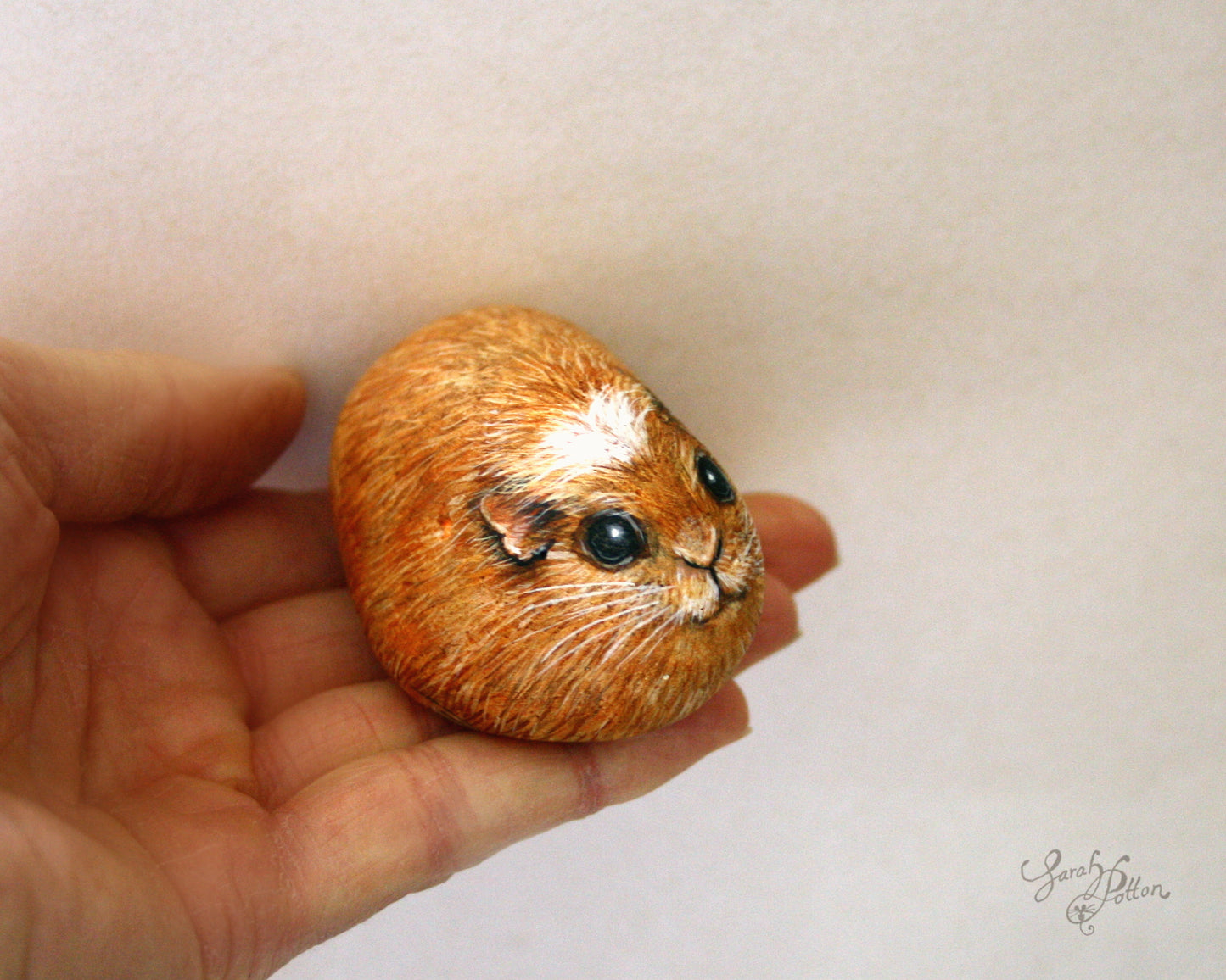 Ginger Guinea Pig Painted Rock