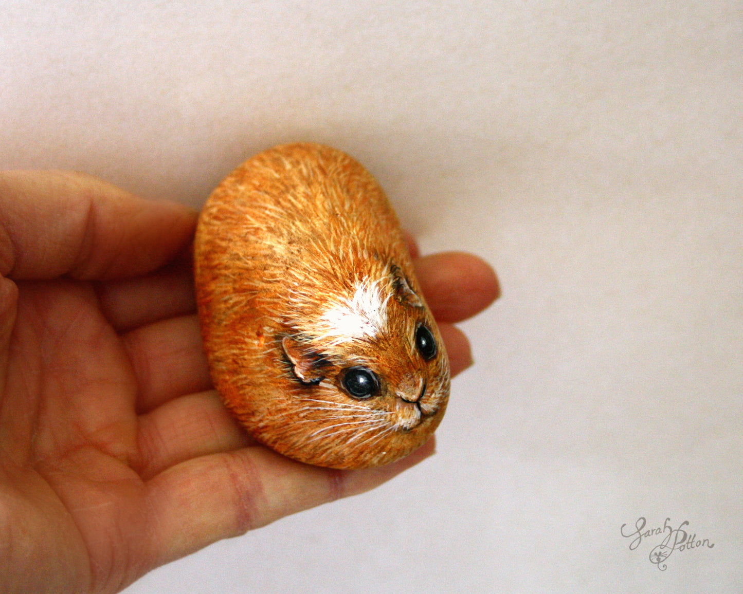 Ginger Guinea Pig Painted Rock