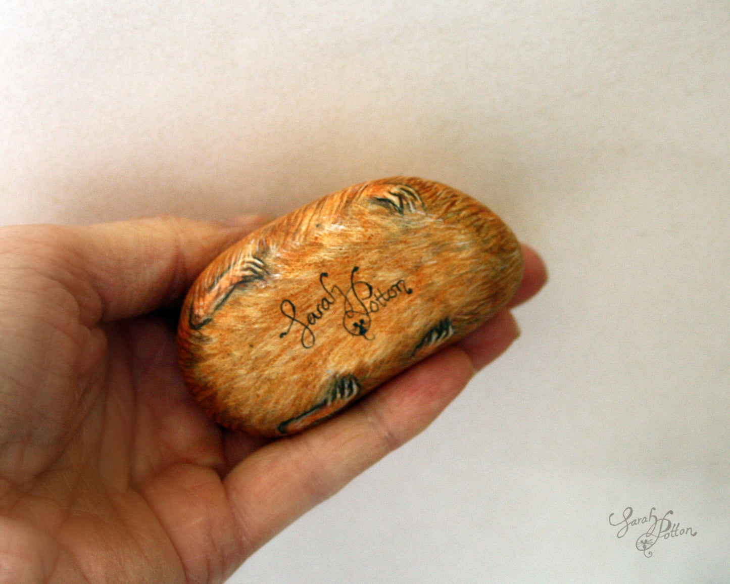 Ginger Guinea Pig Painted Rock