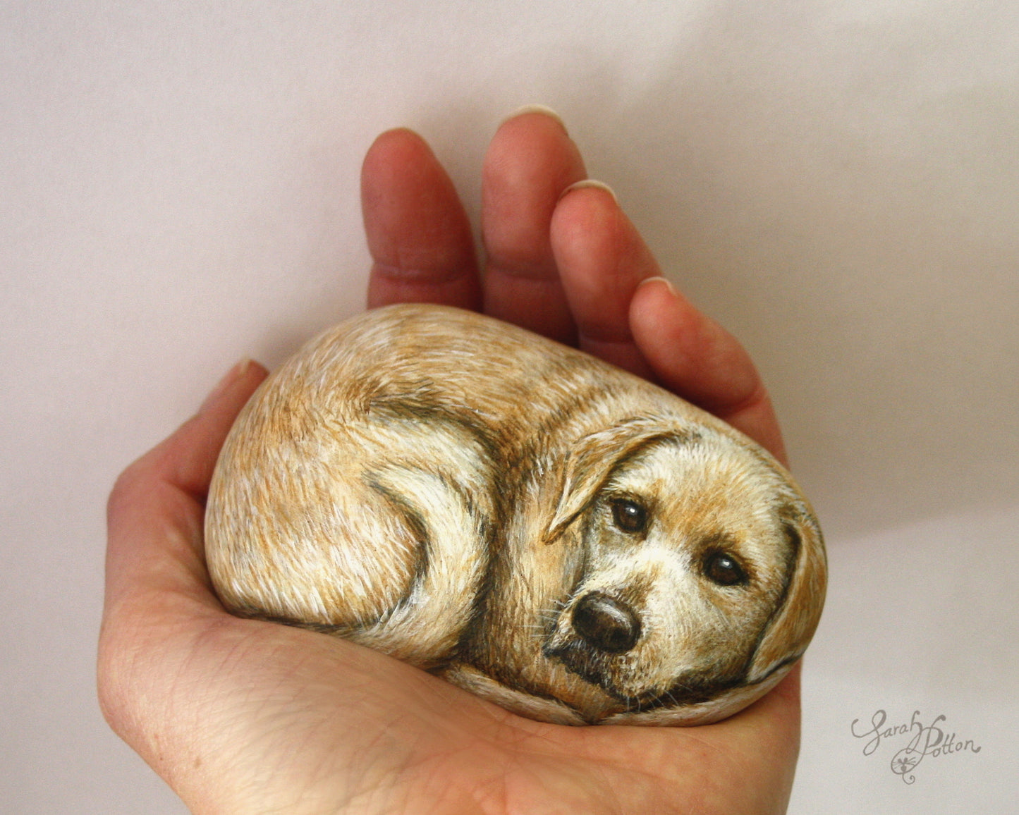 Painted Rock - Golden Labrador Retriever Dog