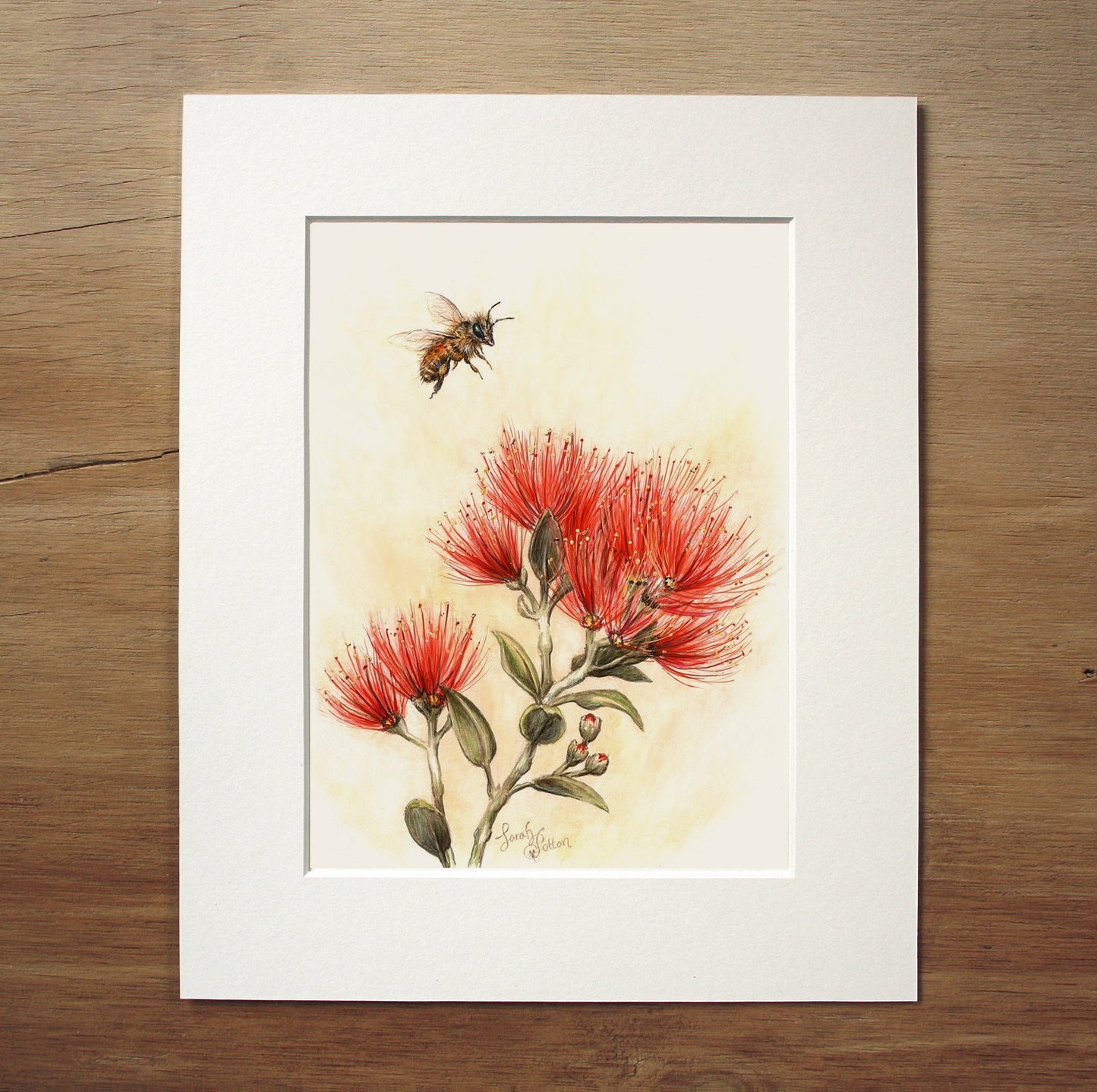 Pohutukawa Original Art for Sale - NZ Native Flowers