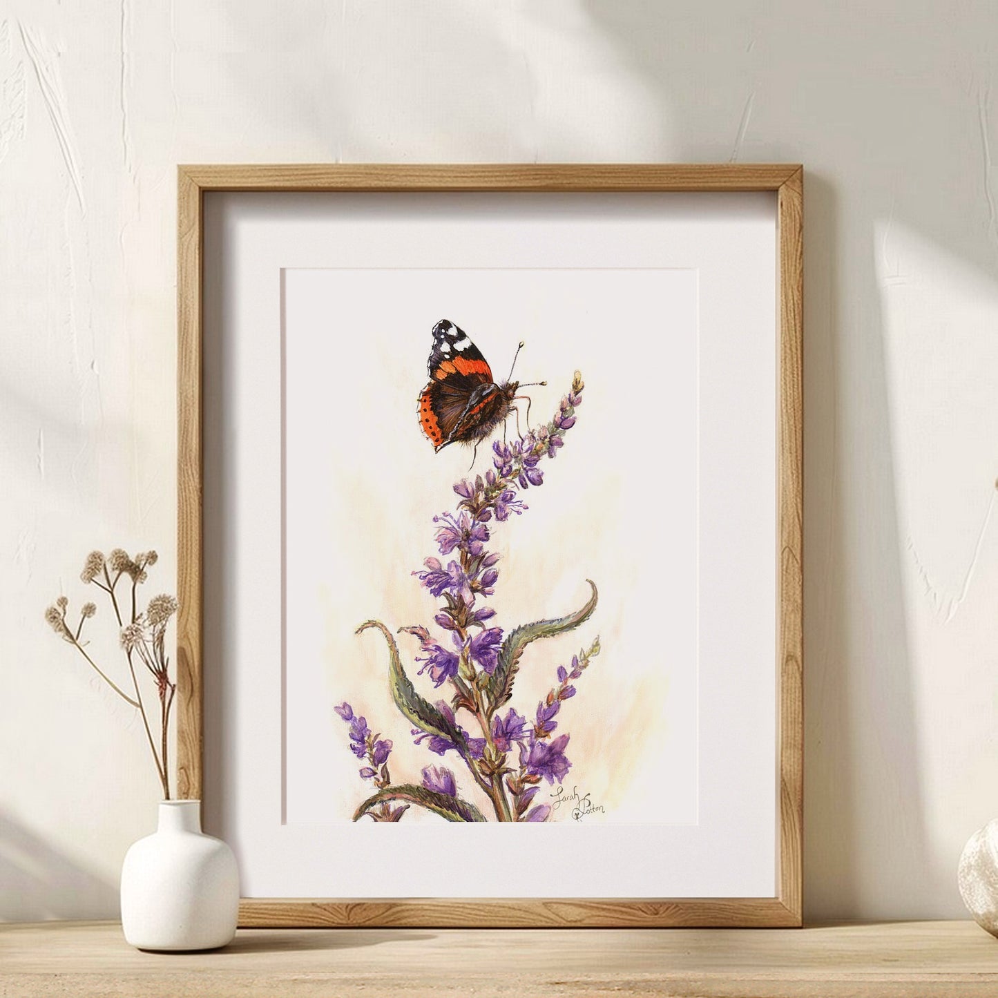 Red Admiral & Purple Salvia Illustration - Native Butterfly Artwork