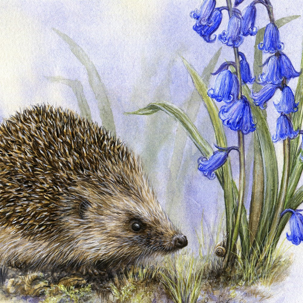 original acrylic painting - hedgehog by nz artist sarah potton