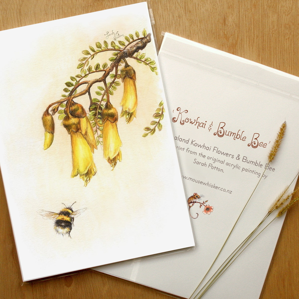 Kowhai Art Print - NZ Wall Decor - Floral Picture