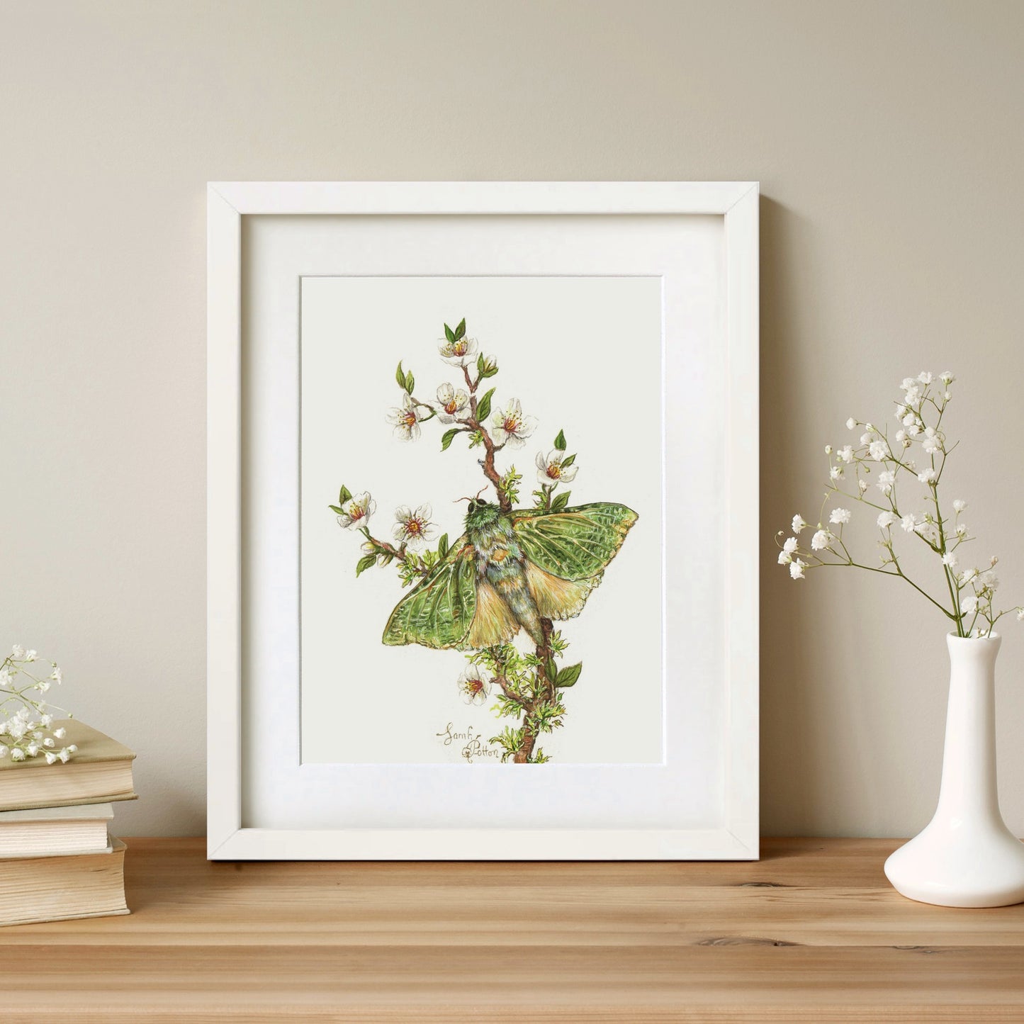 Original Painting - NZ Puriri Moth