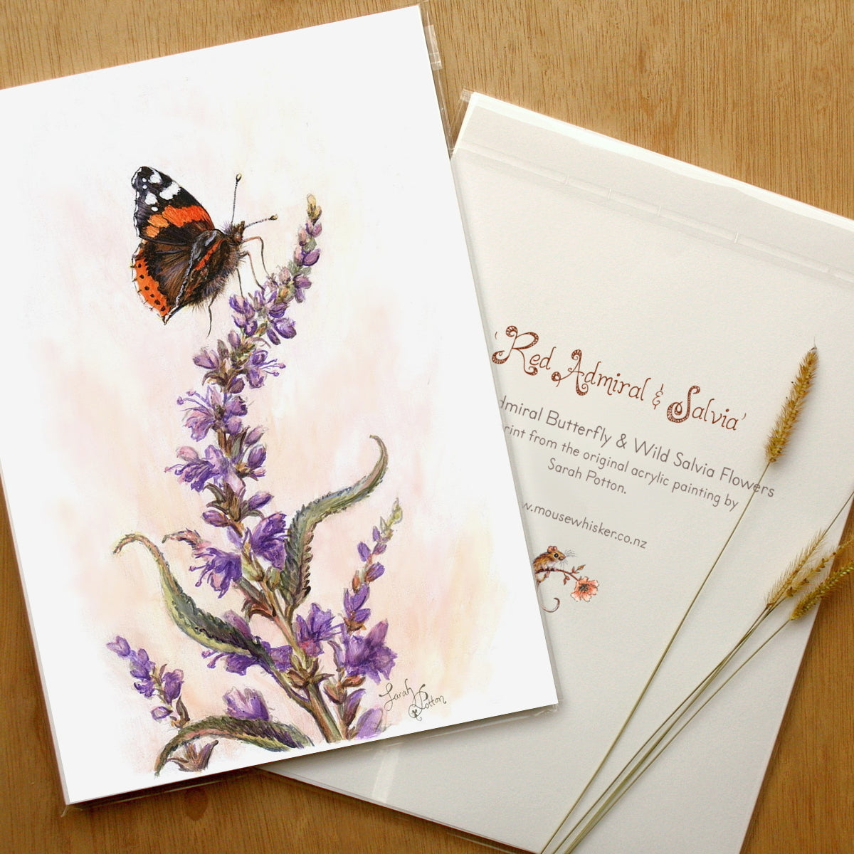 Butterfly Wall Art Print - Red Admiral Picture