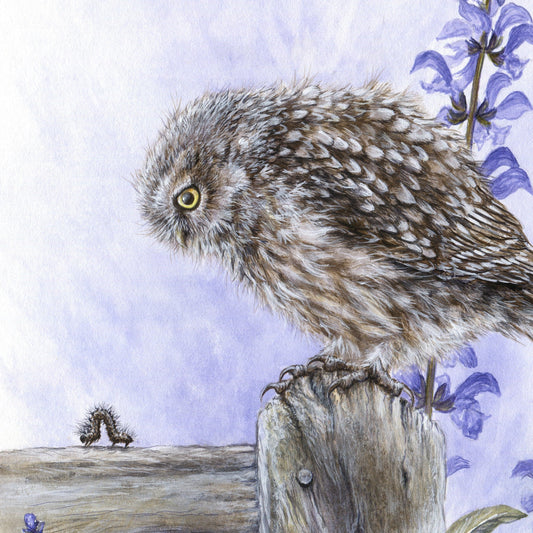 My New Painting 'Fuzzy Wuzzy'