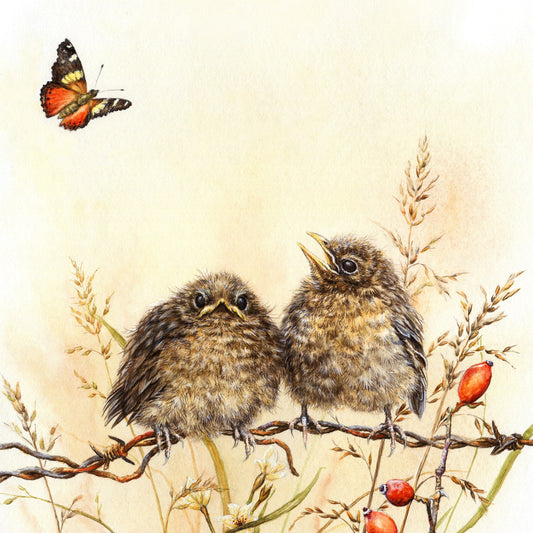Blackbird Babies