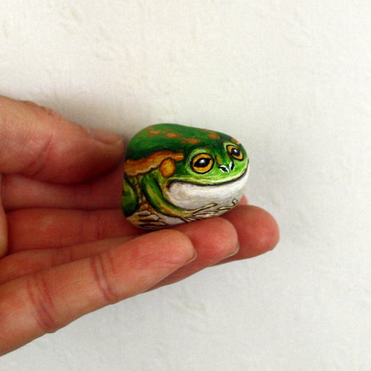 From Pebble to Frog