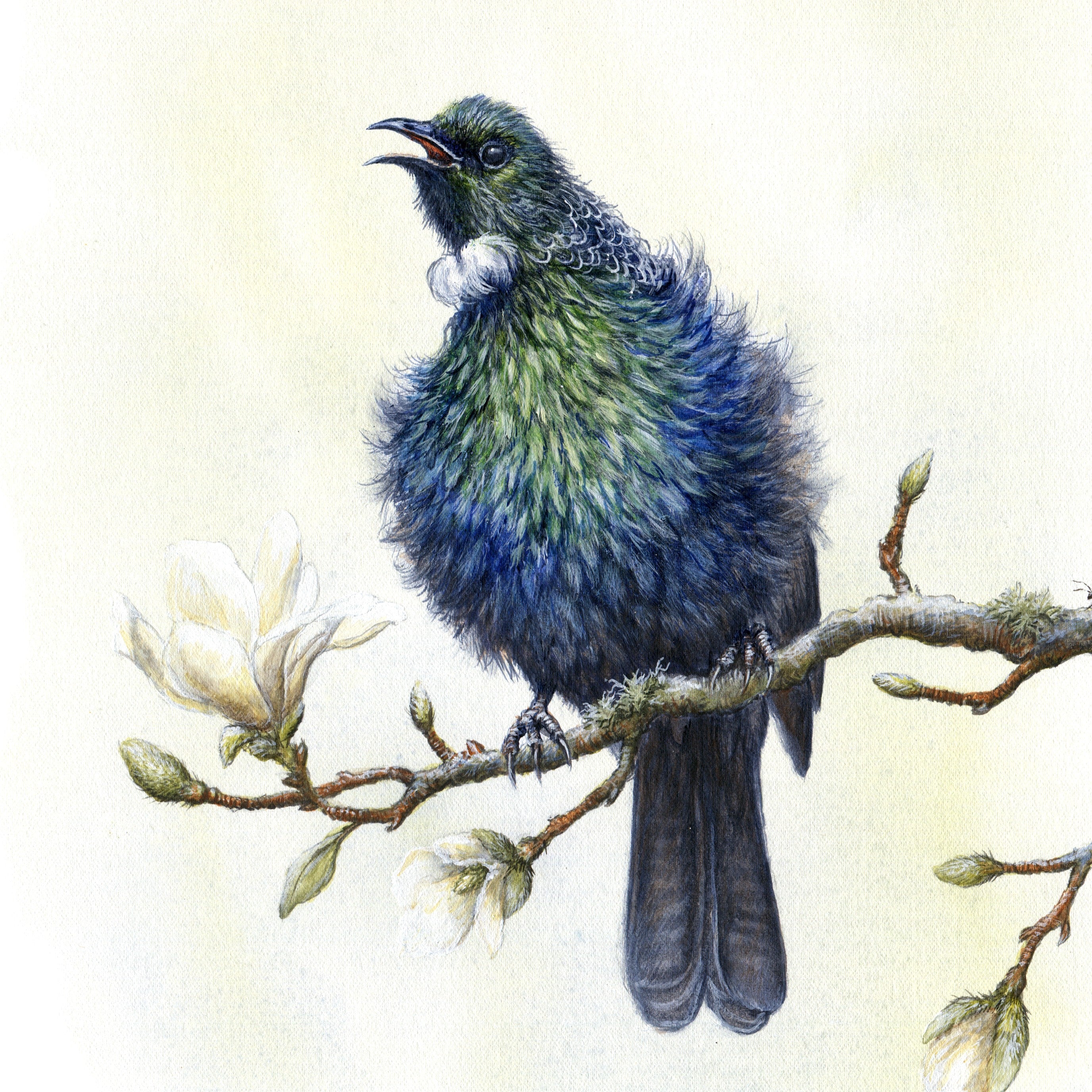 SALE!!! 原画『bird,p.』