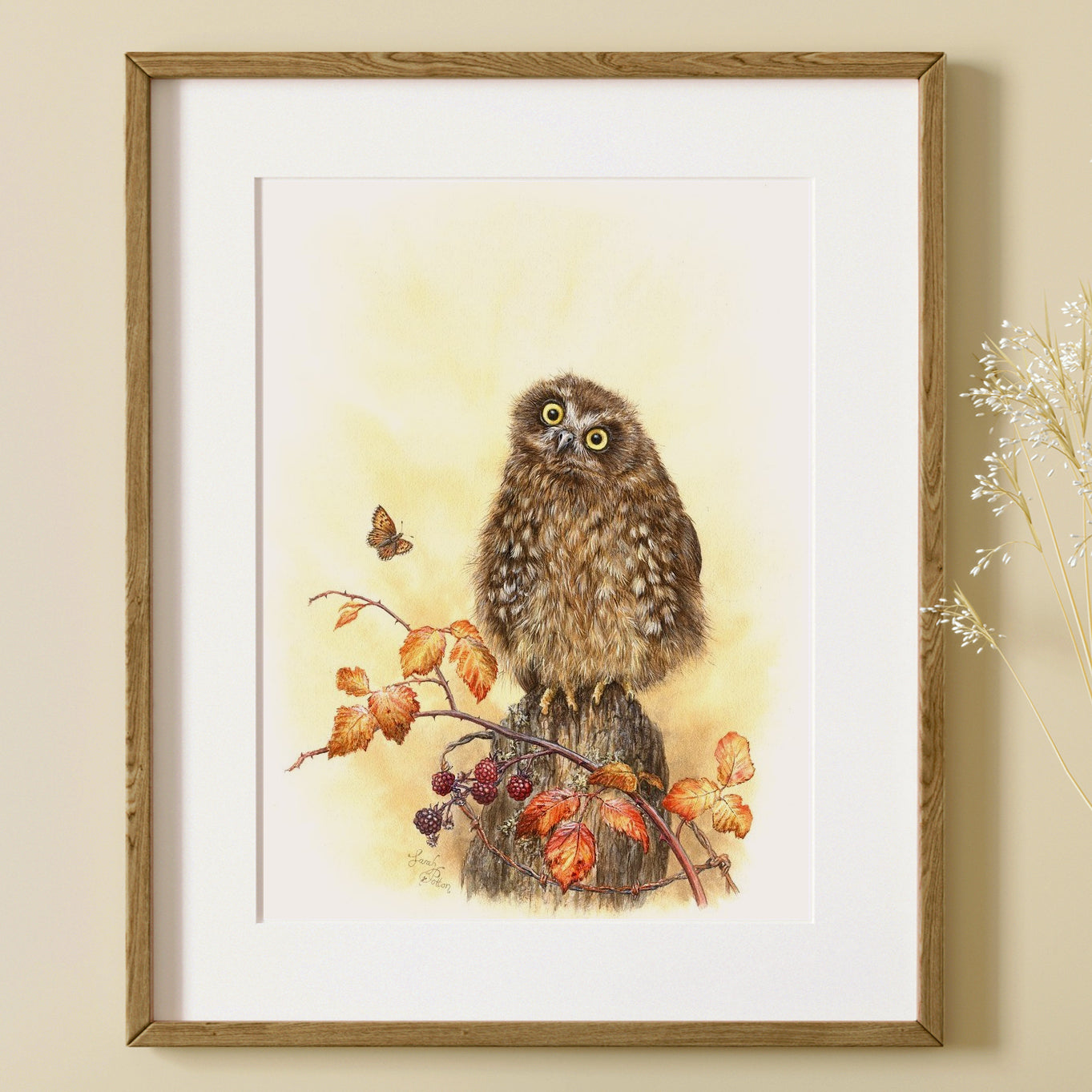 Wall Art Prints for Sale - NZ Native Birds & Animals