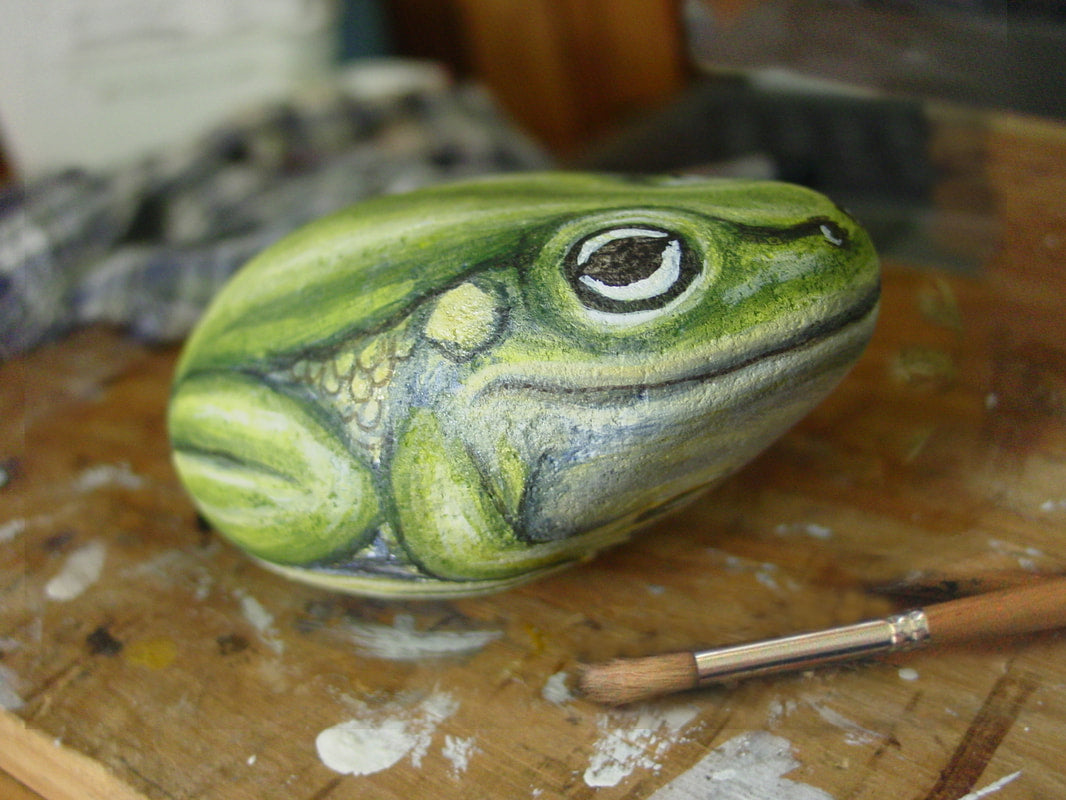 Frog Painted Stone - Work in Progress