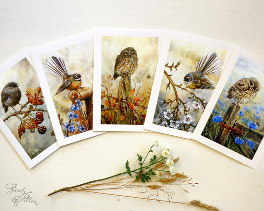 Greeting Cards 5 Pack - NZ Birds