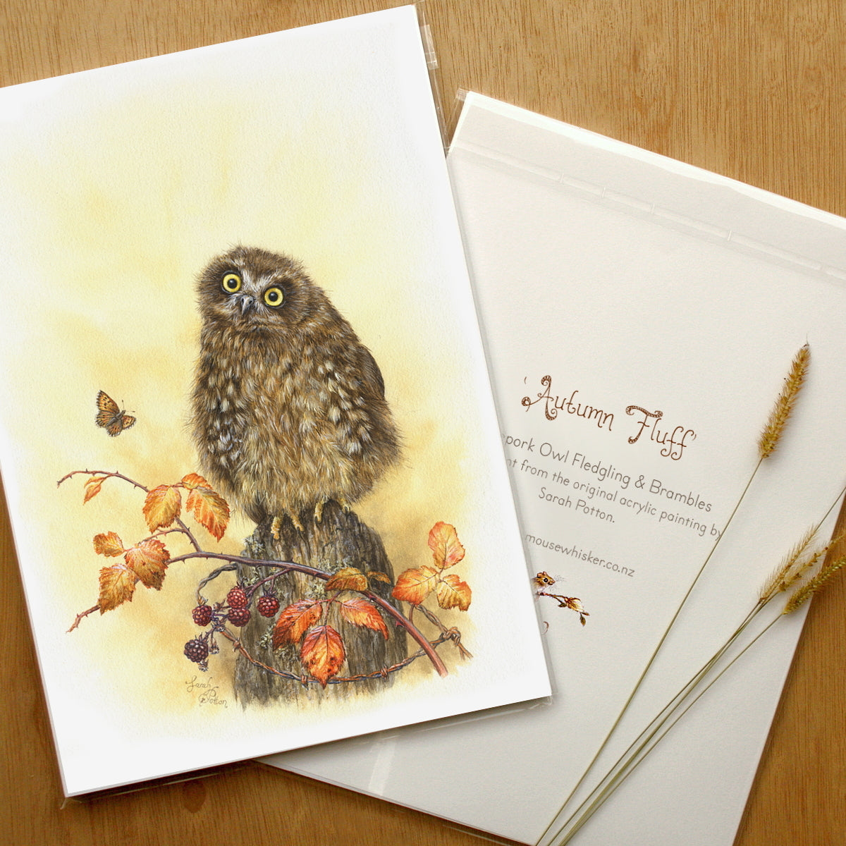 Wall Print of NZ Baby Owl, Butterfly & Blackberries