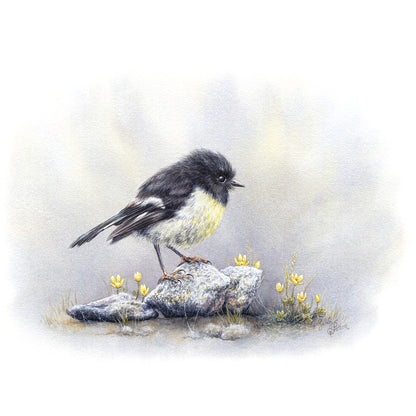 Art Print of South Island Tomtit & Native Buttercups - New Zealand Bird Artwork