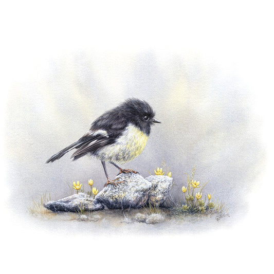 Art Print of South Island Tomtit & Native Buttercups - New Zealand Bird Artwork