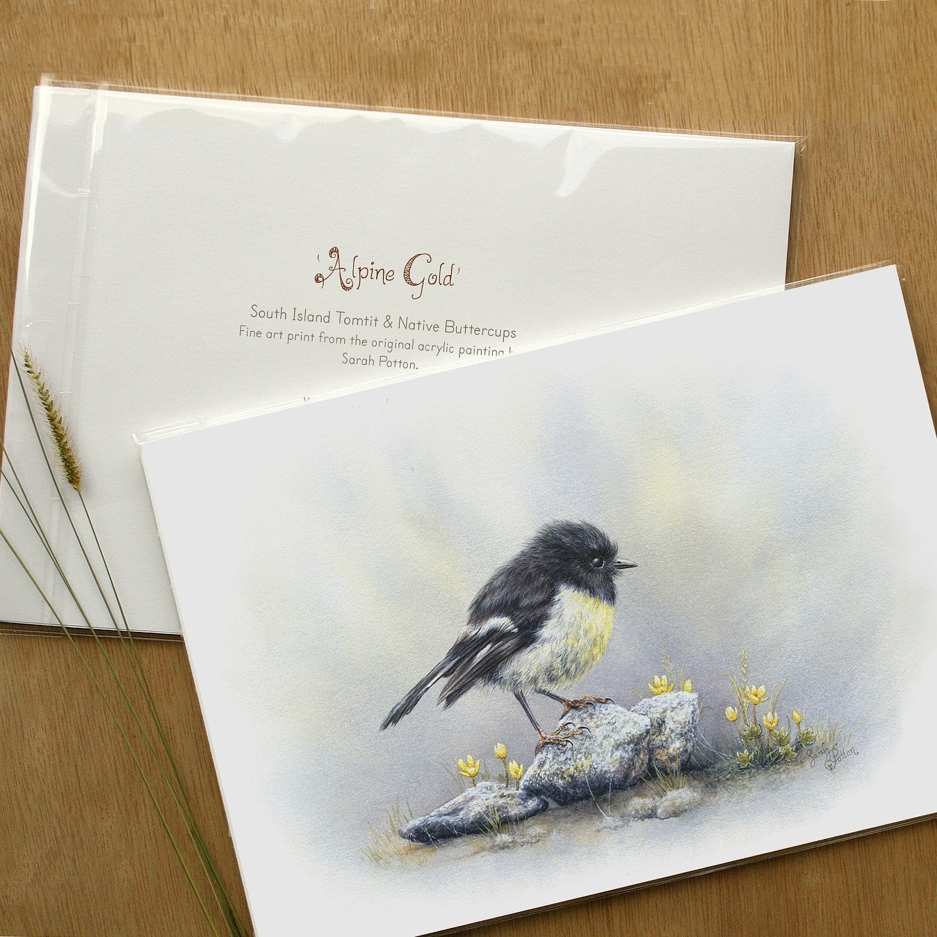 Art Prints of Tomtit for Sale - Artwork Made in New Zealand