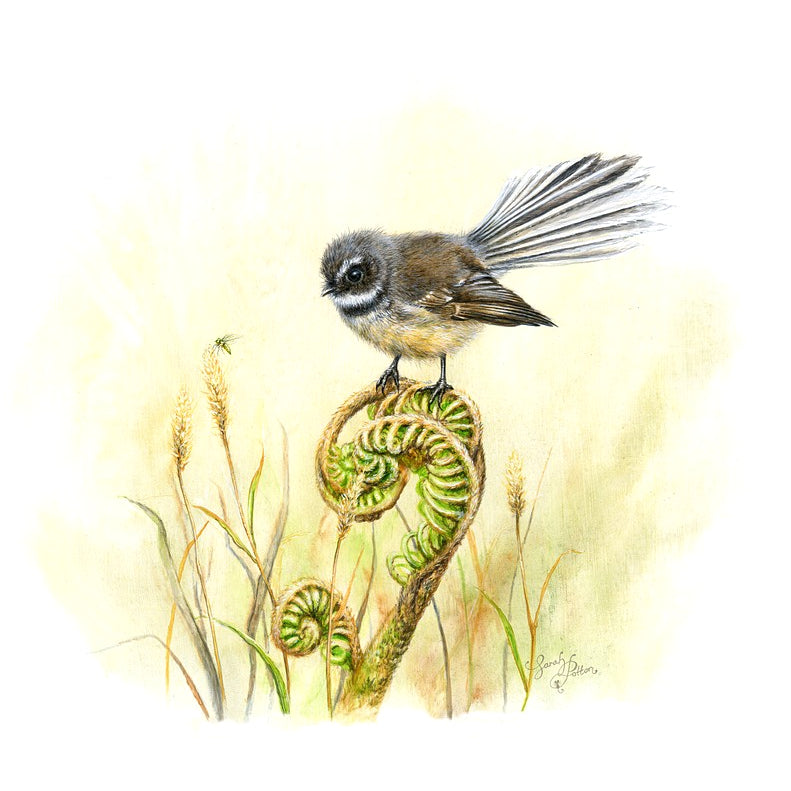 Fantail Art - NZ Bird & Fern Wall Print