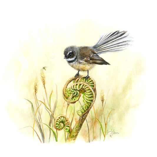 Fantail Art - NZ Bird & Fern Wall Print