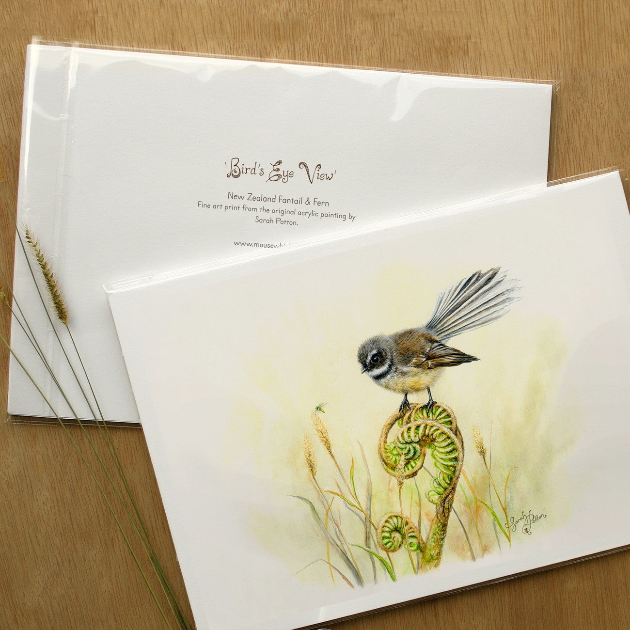 Wall Print of Fantail - NZ Native Birds