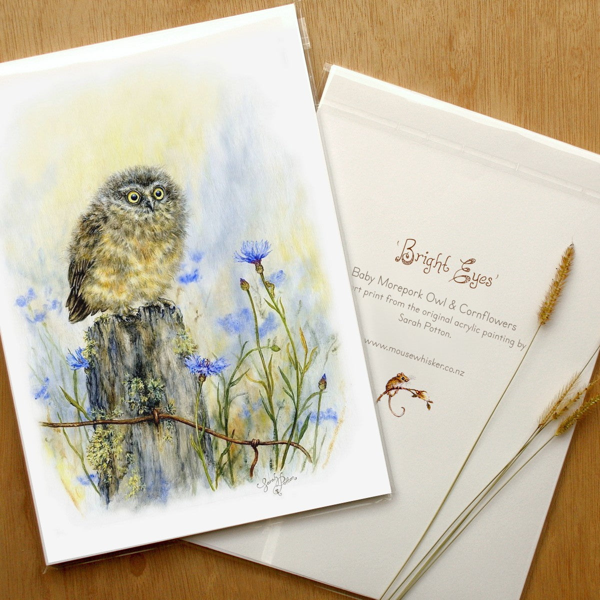 Morepork Owl - Framed Art Prints for Sale by NZ Artist - Bird Lover Gift