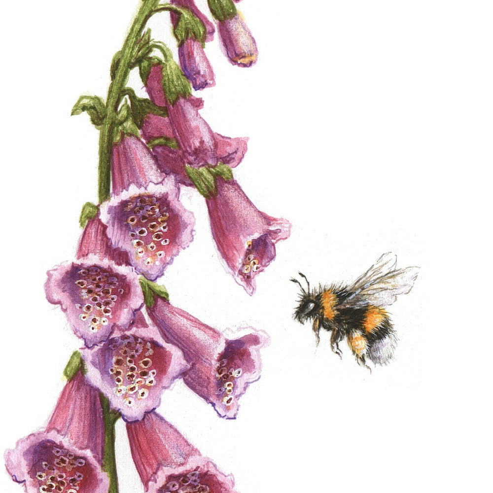Original Painting - Bumble Bee & Foxglove Flowers